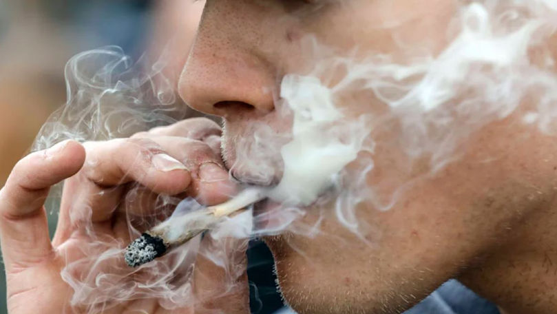 В Германии комиссар по борьбе с наркотиками хочет разрешить курение марихуаны.