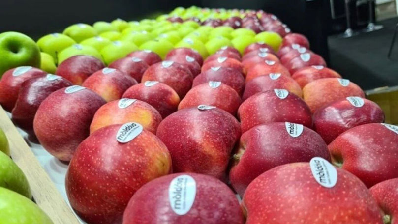 Exporturile moldovenești scad, cu excepția celor de fructe