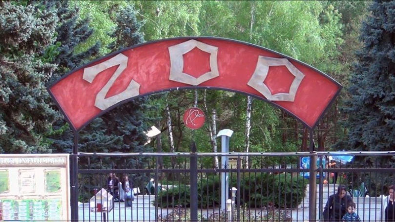 Acces gratuit la Zoo pentru cei care poartă numele unei vietăți