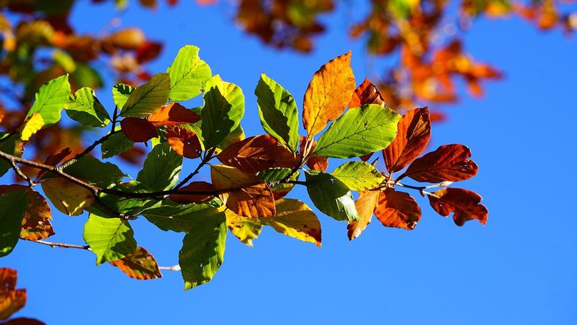 Meteo 1 octombrie 2018: Vreme frumoasă la începutul lunii