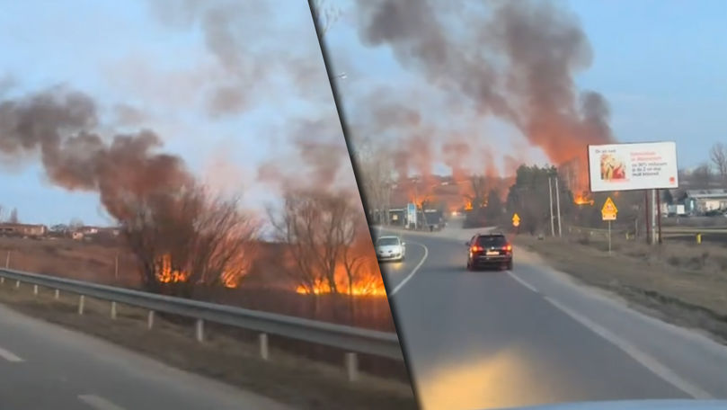 Incendiu de vegetație la Cupcini. Locuitor: A fost intenționat