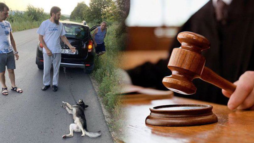 Apărătorii drepturilor animalelor cer judecarea lui Ghenadie Valuță
