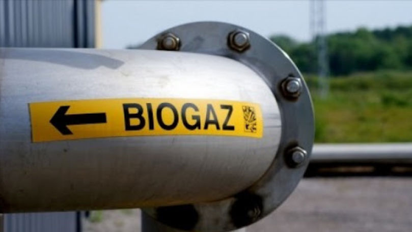 Un producător de spirt şi-a făcut centrală electrică pe biogaz