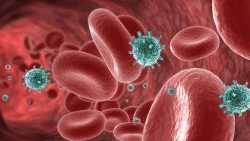Celulele canceroase devin canibale pentru a supravieţui chimioterapiei