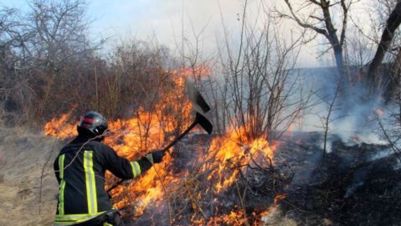 IGSU: 53 focare de vegetație au fost stinse de pompieri