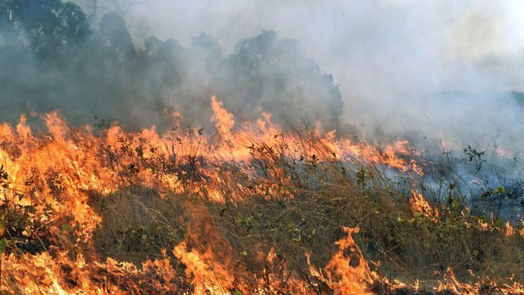 Avertizare meteo: Cod Galben de pericol de incendiu în Republica Moldova