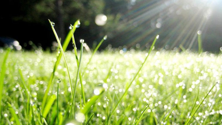 С жаркой погоды и небольших дождей начнется новая неделя в Молдове.