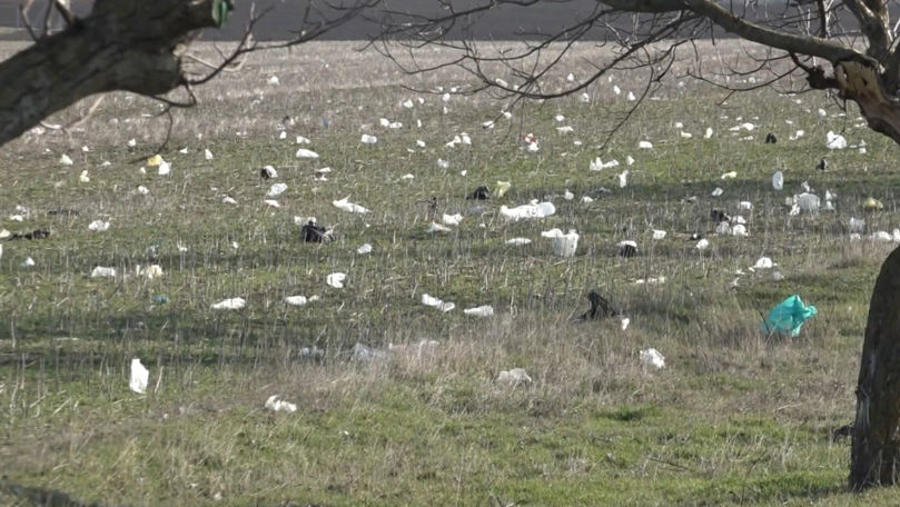 В Гагаузии полиэтиленовые пакеты «захватили» сельхозугодья: люди возмущены.