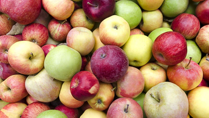 Moldova se regăsește în topul liderilor mondiali la exportul de mere