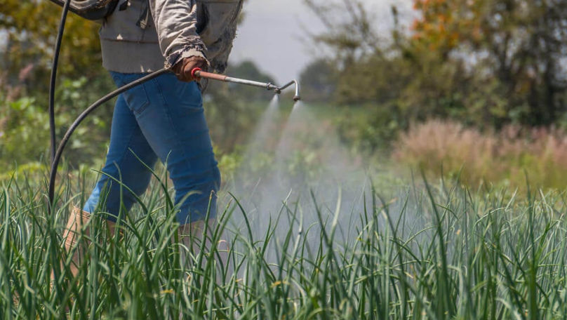 Control mai strict la utilizarea pesticidelor. Un regulament, aprobat