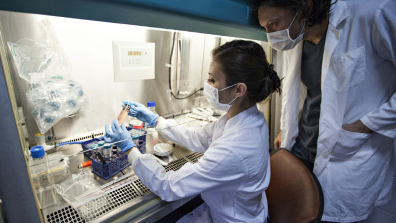 Gripa se răspândește rapid: Două țări au declarat epidemie