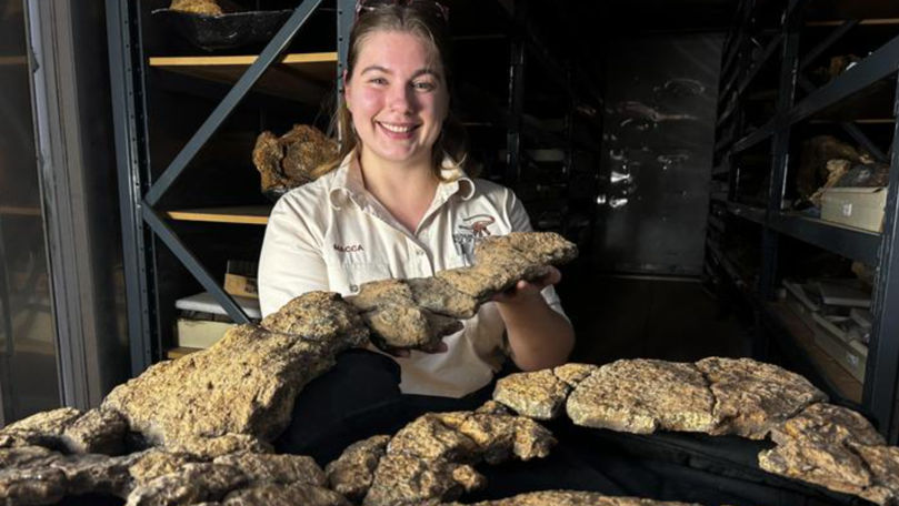 Un nou studiu dezvăluie obiceiurile alimentare ale dinozaurilor