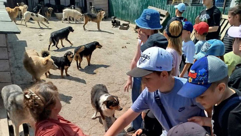 Mai mulți elevi din Chișinău, voluntari la Azilul Municipal de Animale