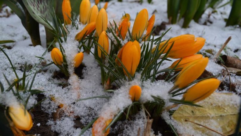 Frig şi ninsori: Cum va fi vremea în ultimele zile din luna martie 2021