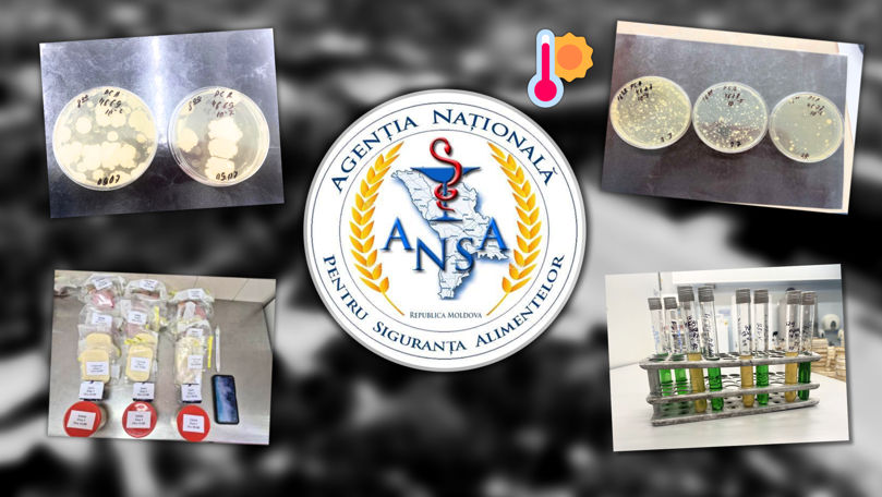 Experiment ANSA: Cum se alterează unele produse vara la temperaturi mari