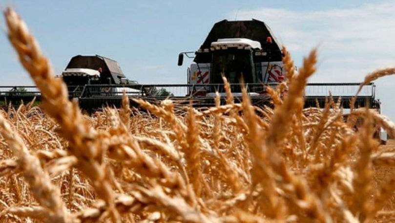 ООН: Сельское хозяйство находится под угрозой из-за аномальной жары.