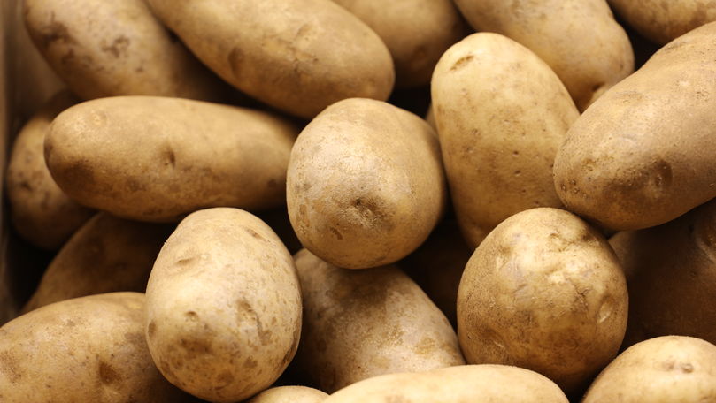 Cartofii au ajuns de patru ori mai scumpi decât în anul 2018