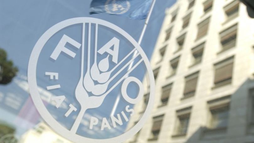 Un raport FAO propune soluţii pentru sectorul agrar autohton