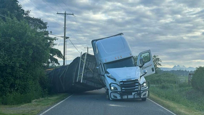 Milioane de albine au scăpat în SUA, după ce un camion s-a răsturnat