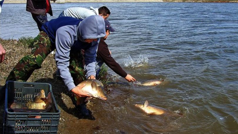 Monitorul Oficial: Pescuitul, interzis timp de două luni în Moldova