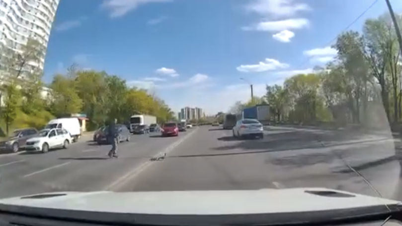 В Кишиневе прохожие помогли утке с утятами перейти оживленную дорогу.