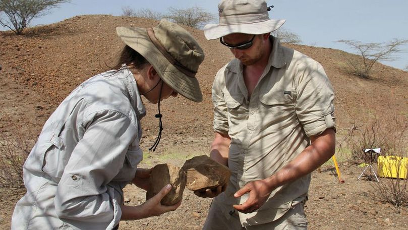 Descoperire imposibilă pe o insulă din largul coastelor africane