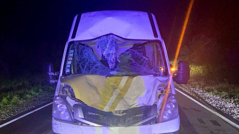 Accident la Ialoveni: Un cal, lovit mortal pe un drum național