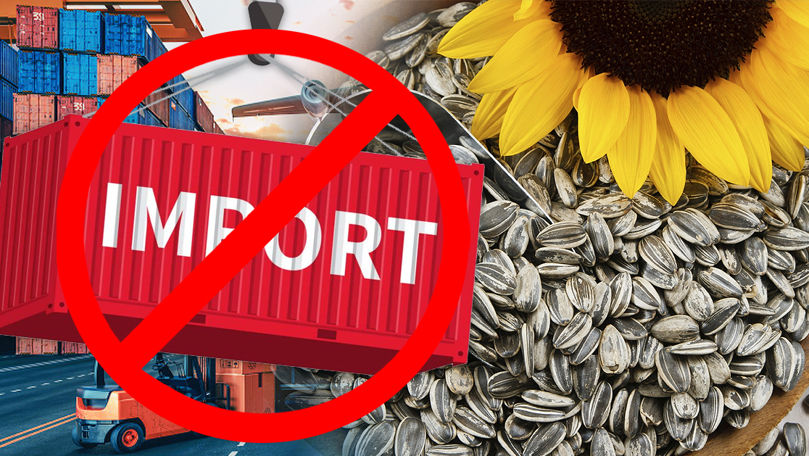 Аграрии Молдовы требуют запретить импорт подсолнечника. Коллаж Point.md.