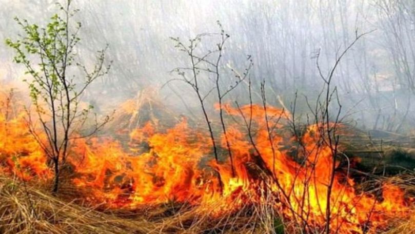 Un lan de iarbă uscată a fost cuprins de flăcări în capitală