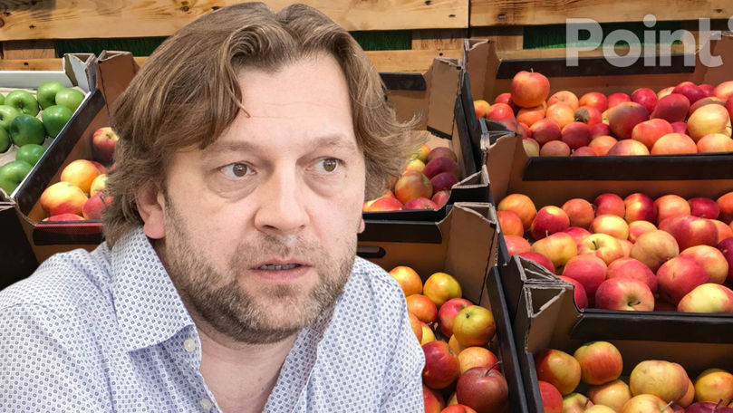 Алайба: В 2024 году молдавские фрукты экспортировались во все страны Европы.