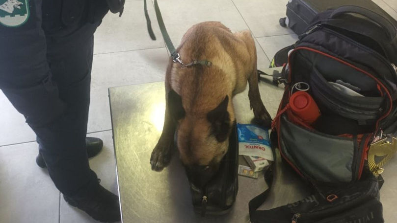 Echipa canină, la datorie: Un străin, prins cu droguri la PTF Palanca