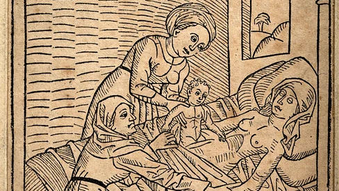 Cum a reușit un măcelar, acum cinci secole, să revoluționeze medicina