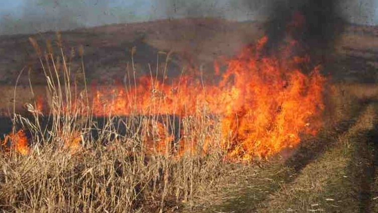 Incendiu de vegetație la Tohatin: O bătrână a ajuns la spital cu arsuri