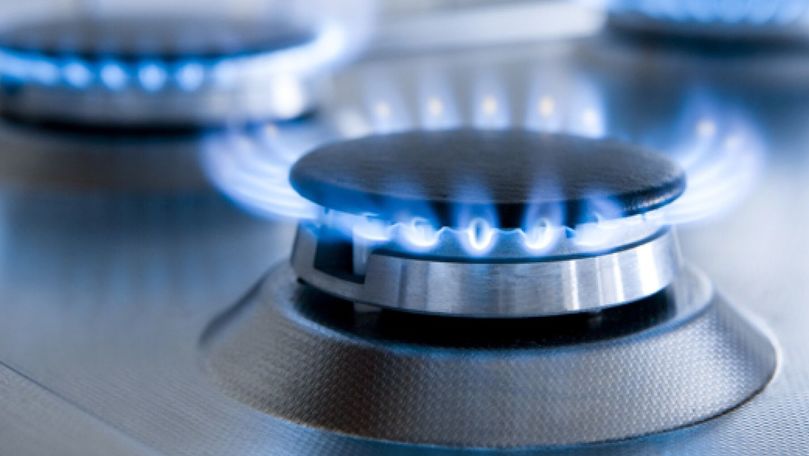 Criza gazelor: Gavrilița anunță compensații pentru agenții economici