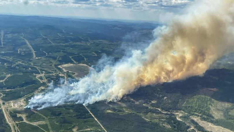 Un incendiu de vegetație a izbucnit în Canada: 1.200 de oameni, evacuați