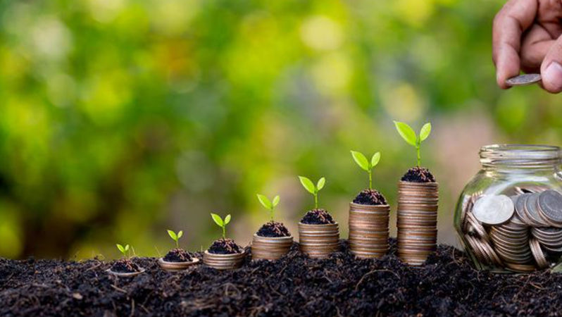Subvenții de 41,84 milioane lei, debursate în conturile agricultorilor