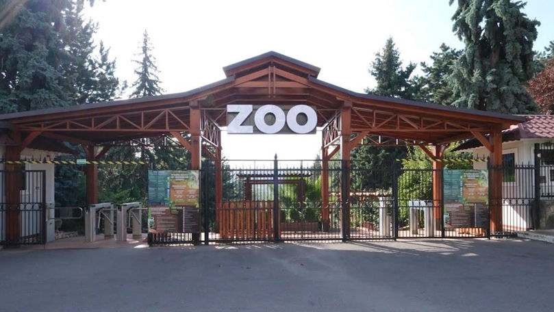 Молдова переходит на европейские стандарты зоопарков.