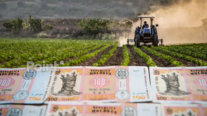 Налоговая служба обновила механизм возврата НДС для сельхозпроизводителей.