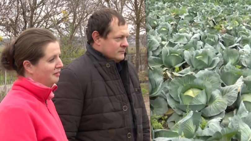 Povestea unui cuplu care a lăsat orașul și a revenit cu o afacere în sat