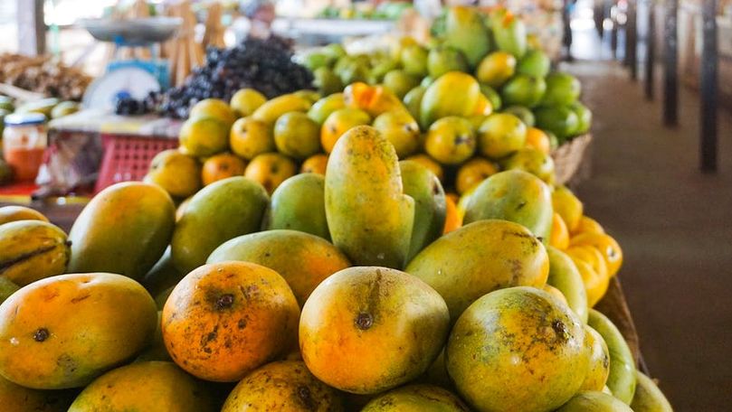 Filipine se confruntă cu un surplus de 2 milioane de kilograme de mango