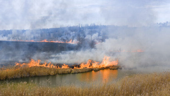 Incendiu la hotarul cu Moldova. Experți: Nivelul de poluare, la limită