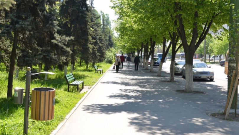 Pe strada principală a Capitalei vor apărea coșuri de gunoi