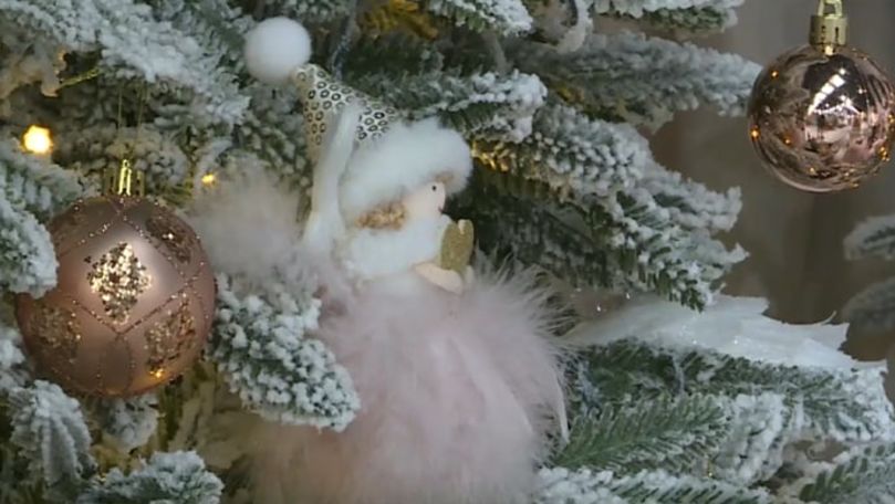 Brazii şi decoraţiunile pentru sărbătorile de iarnă, deja în vânzare