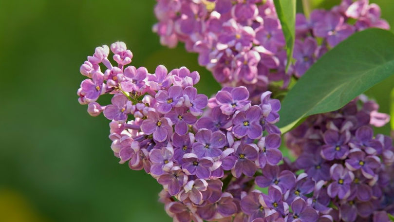 Рабочую неделю завершит день с облачной погодой.