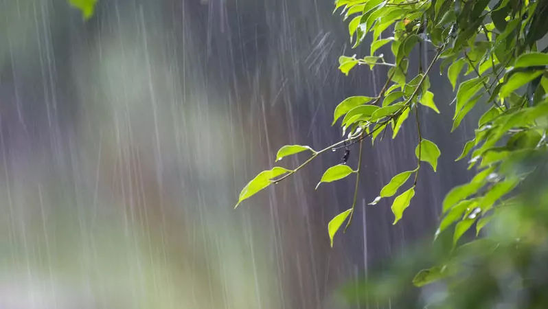 Meteo 28 mai 2025: Ploile continuă și astăzi pe întreg teritoriul țării