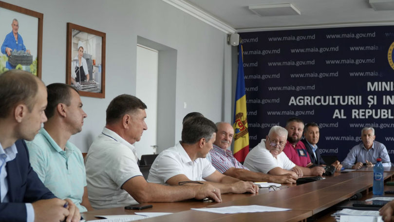 Greutățile din apicultură, abordate la MAIA cu reprezentanții sectorului