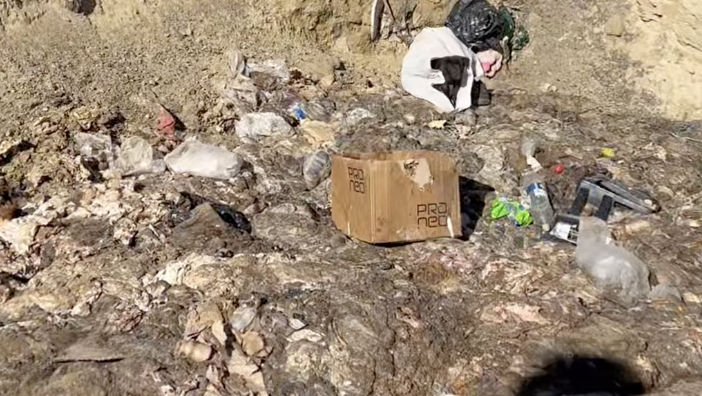 Resturi de animale, aruncate pe un câmp din Strășeni
