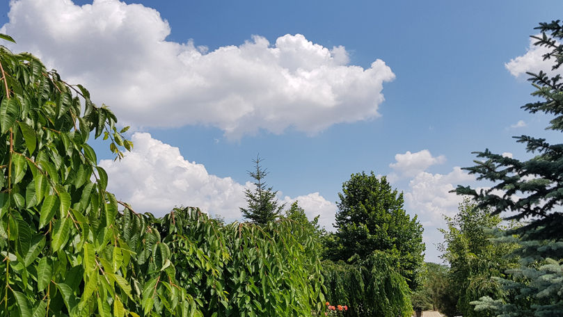 В среду малооблачный и умеренно жаркий день ожидает жителей Молдовы.
