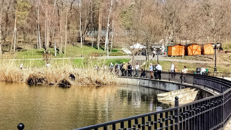 Misiune de salvare în Parcul Valea Morilor: Un câine, scos din lac