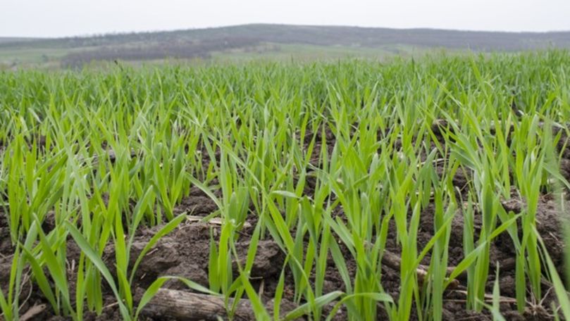 Из Фонда развития сельского хозяйства профинансируют 21 проект.